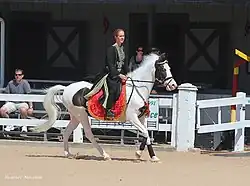 Merrie onder het zadel