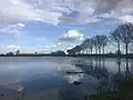 Het Zwanewater; een groot open water in de uiterwaarden