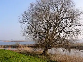 Zwolsche Diep en Zwarte Meer
