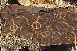 Petrogliefen in het Desert Studies Center