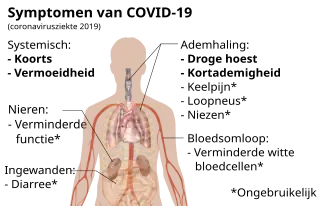 Infographic van de symptomen van de ziekte