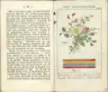 Afbeelding van borduurwerk met een uitleg over gebruik van kleuren in Almanak voor jonge heeren en juffers (1805)