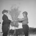 Jongens zetten een kerstboom op in Savonranta, 1951