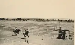 paardenrennen in Timor