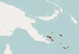 Dobsonia pannietensis