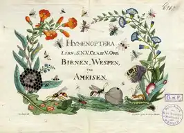 Naturgeschichte, Klassification und Nomenclatur der Insekten vom Bienen, Wespen und Ameisengeschlecht